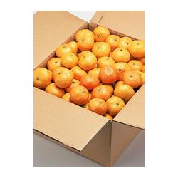 紙箱廠家批發橘子紙箱定做彩箱包裝盒