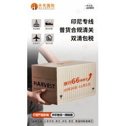 廣州到印尼泗水直航海運多少錢？**印尼雙清到門專線